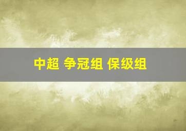 中超 争冠组 保级组